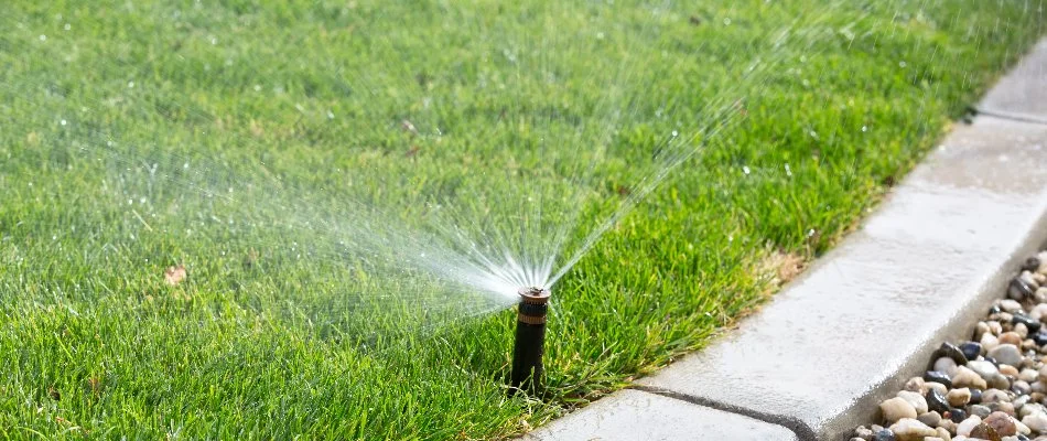 Sprinkler along the edge of a lawn in Mineral Springs, NC.