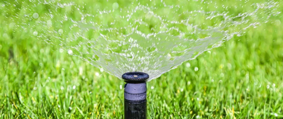 Sprinkler head on a green lawn in Lake Park, NC.