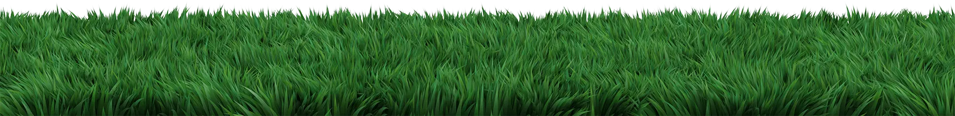 Grass divider.