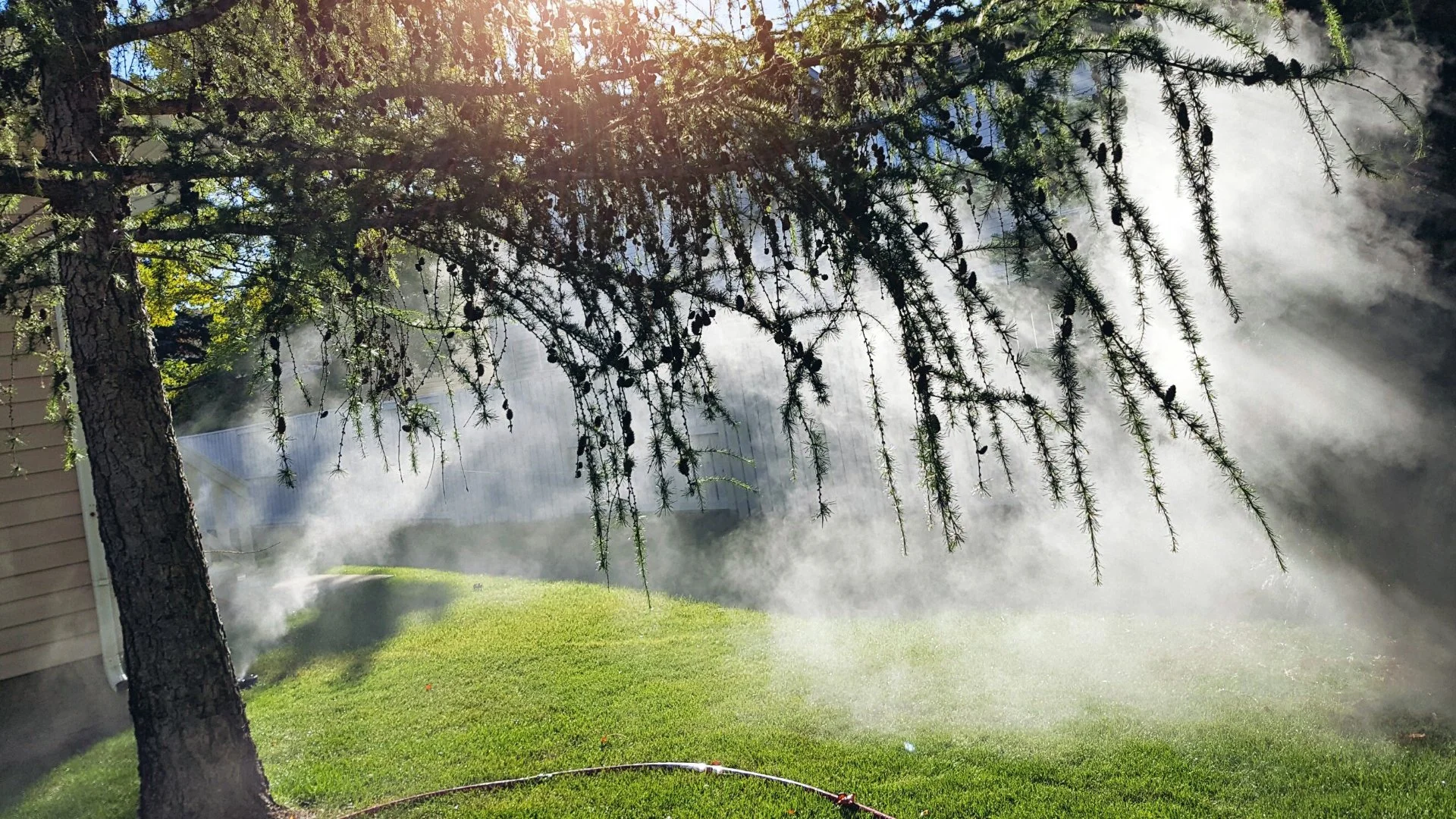 Professional irrigation system being winterized next to a tree, preparing for cold weather in Matthews, NC.