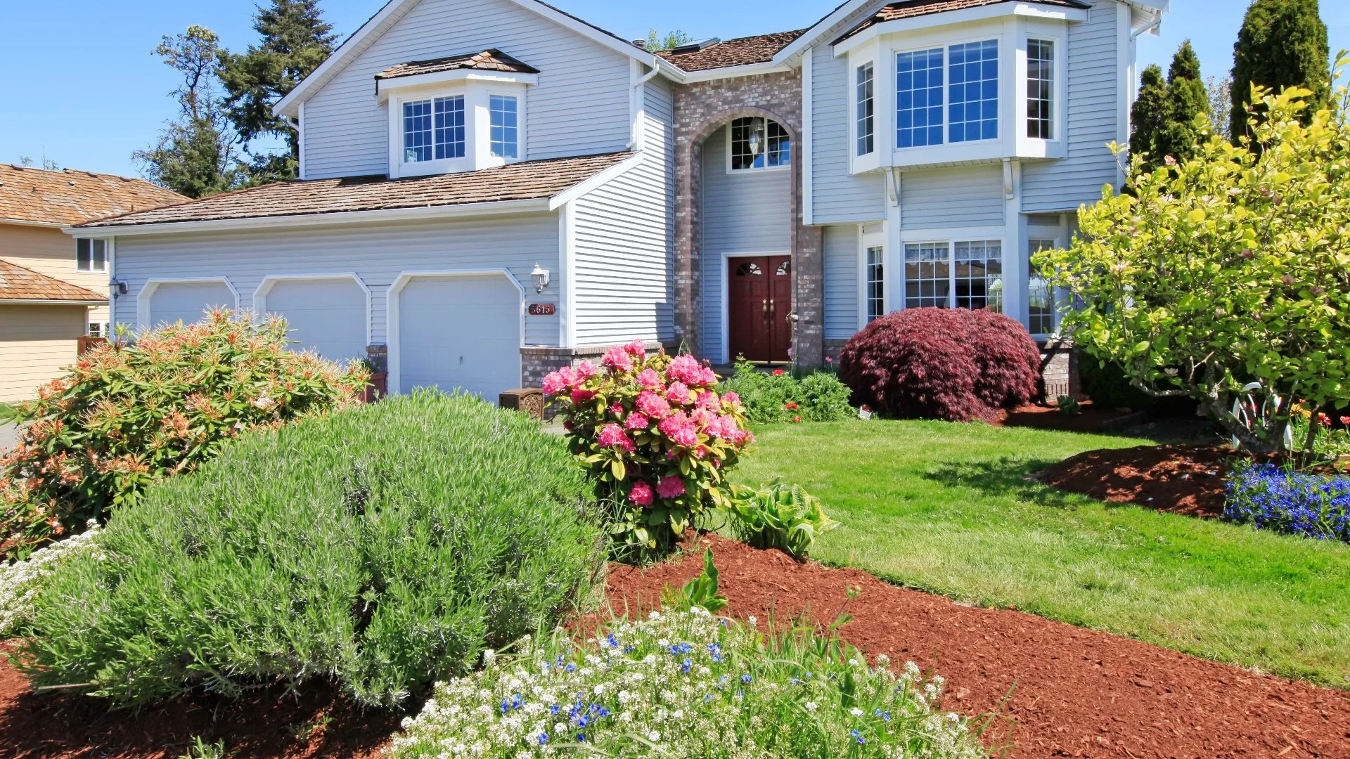 House in Charlotte, NC surrounded by trees, lawn, shrubs, and flowers.