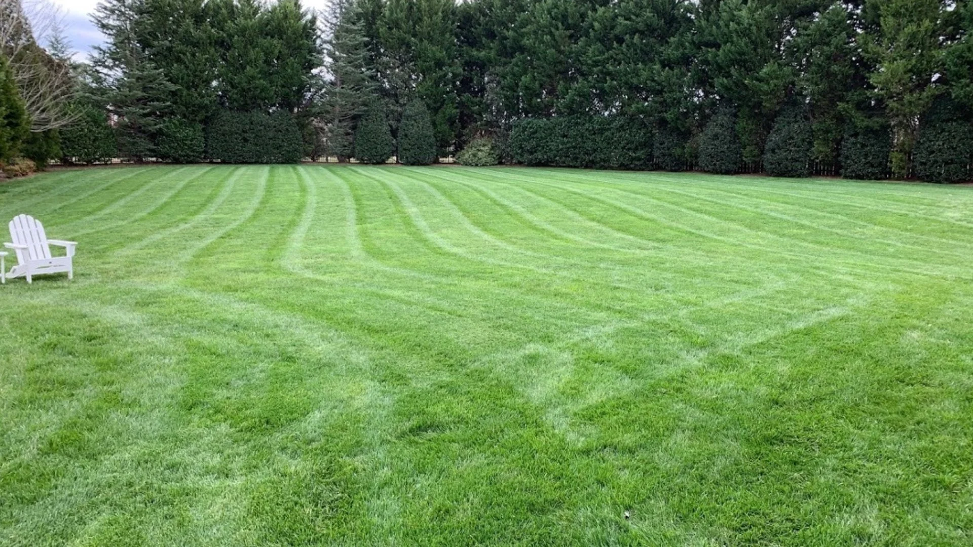 Freshly mowed large lawn in Charlotte, NC.