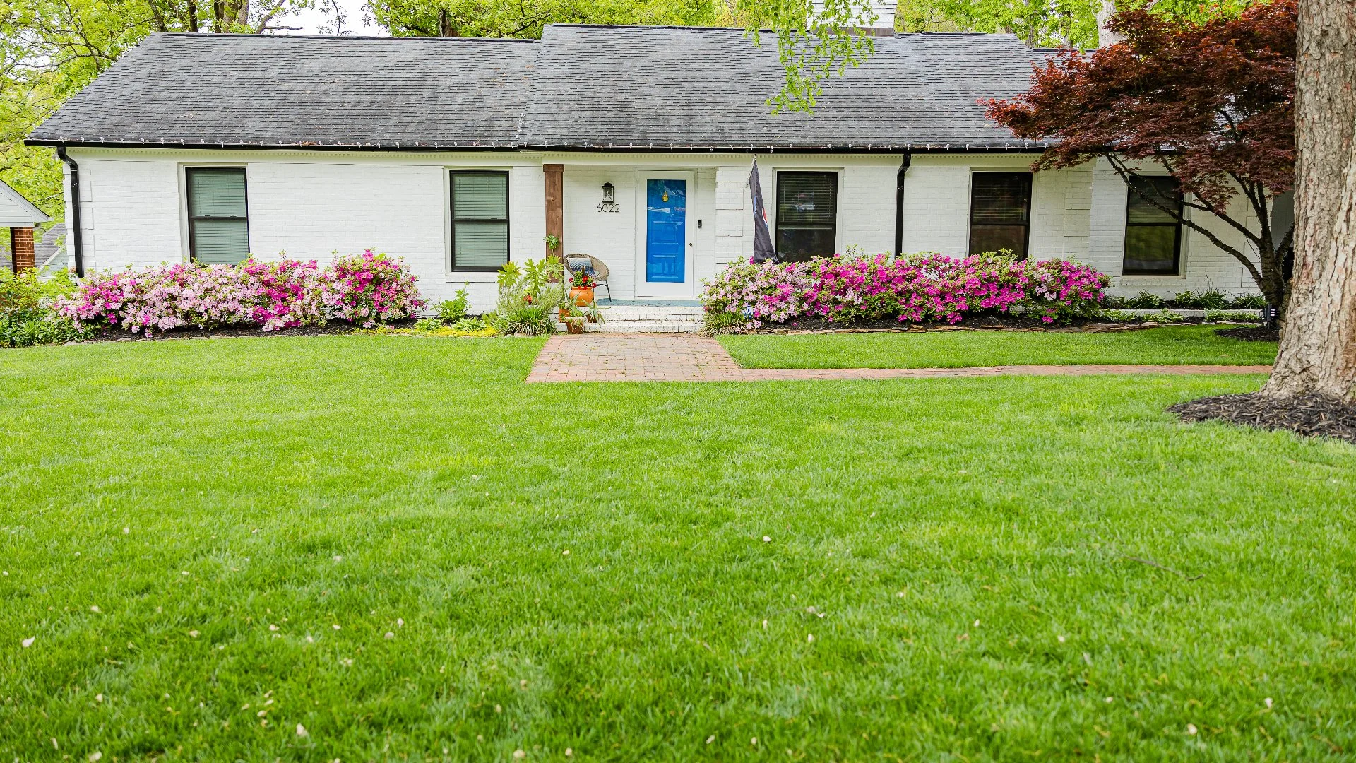 Beautiful lawn with pink flowers in front of a white house, showcasing well-maintained landscaping in Tega Cay, SC.