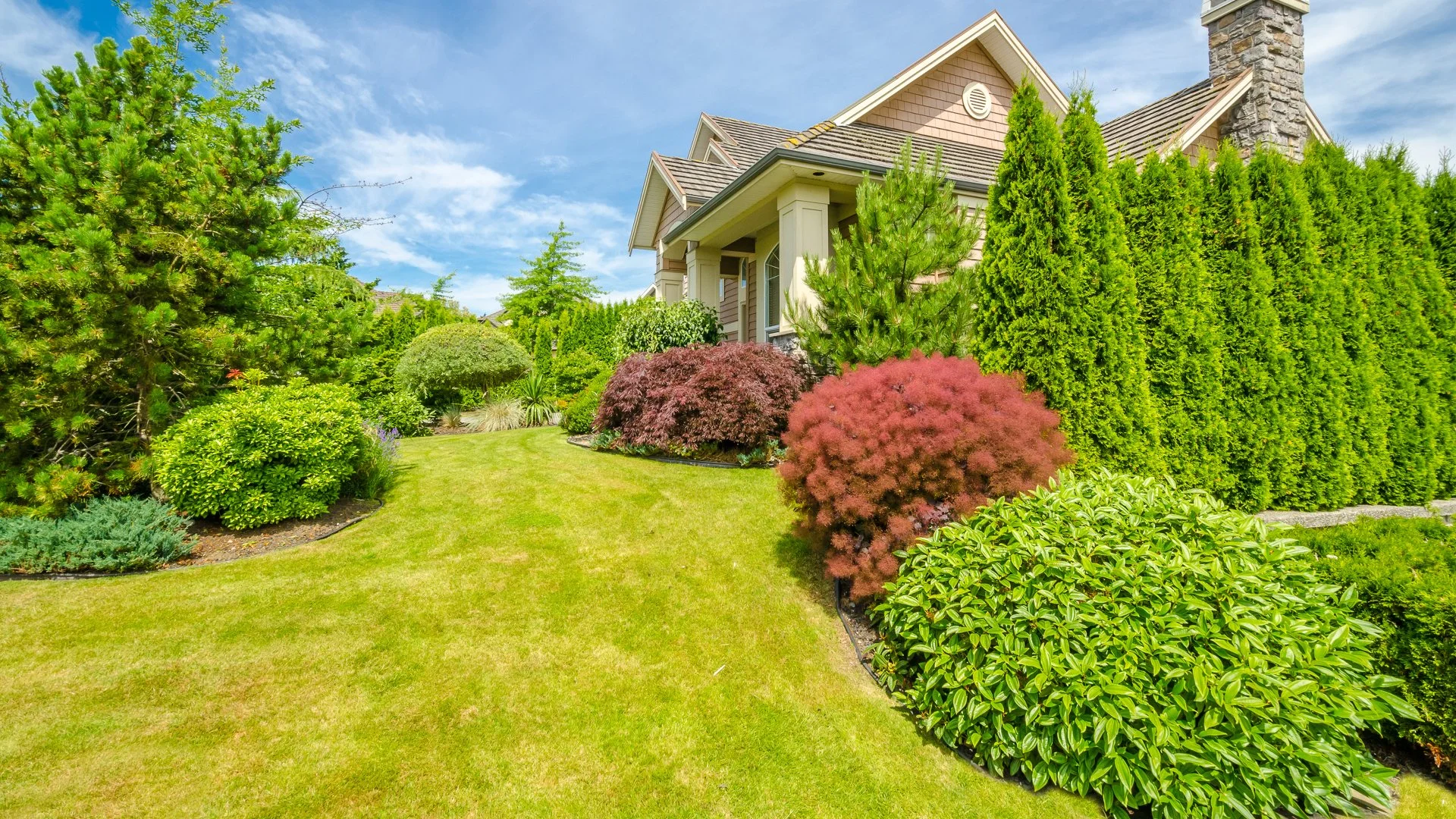 Several trees and shrubs at a Huntersville, NC property.