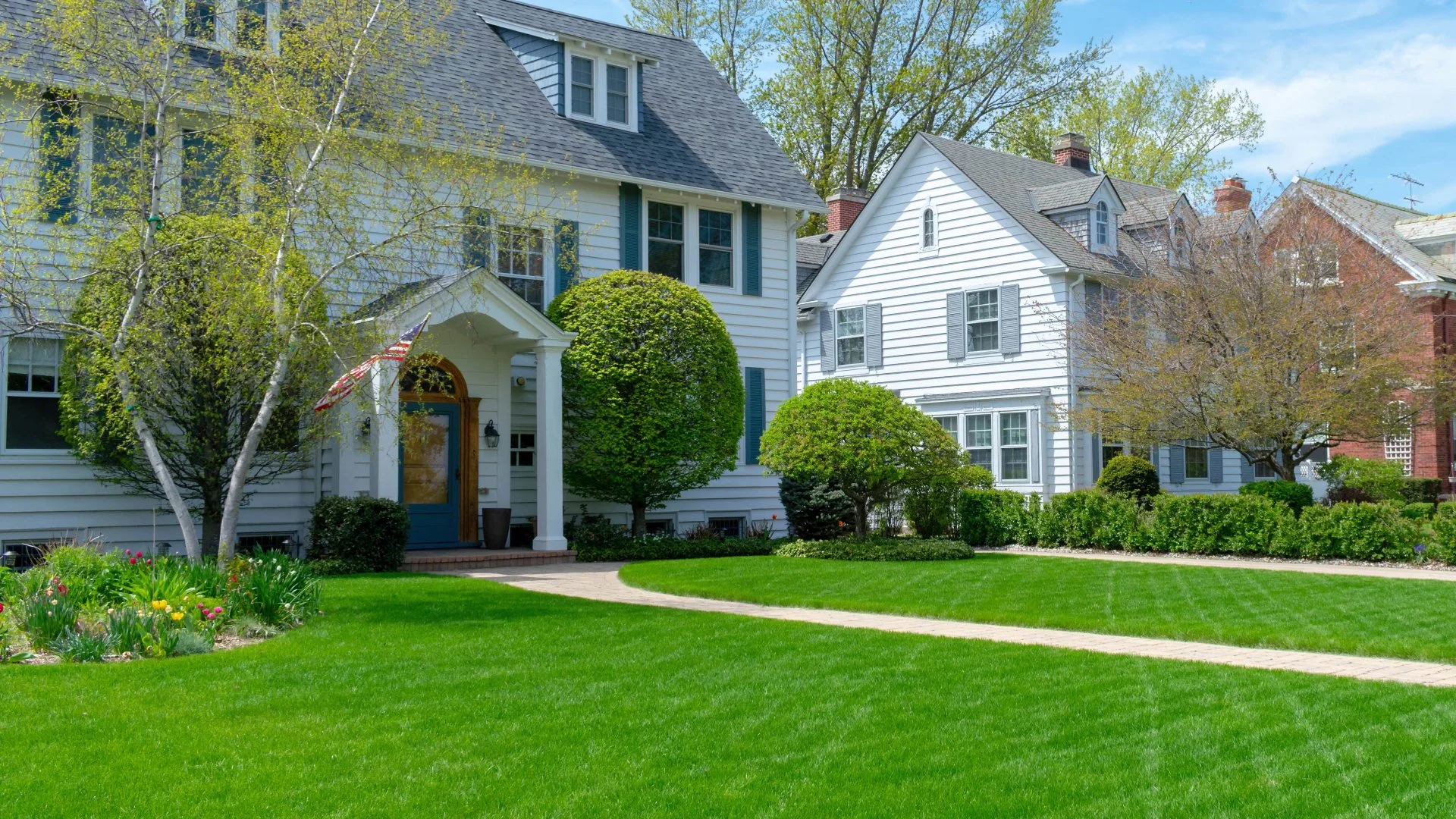 Front lawn in Matthews, NC with shrubs.