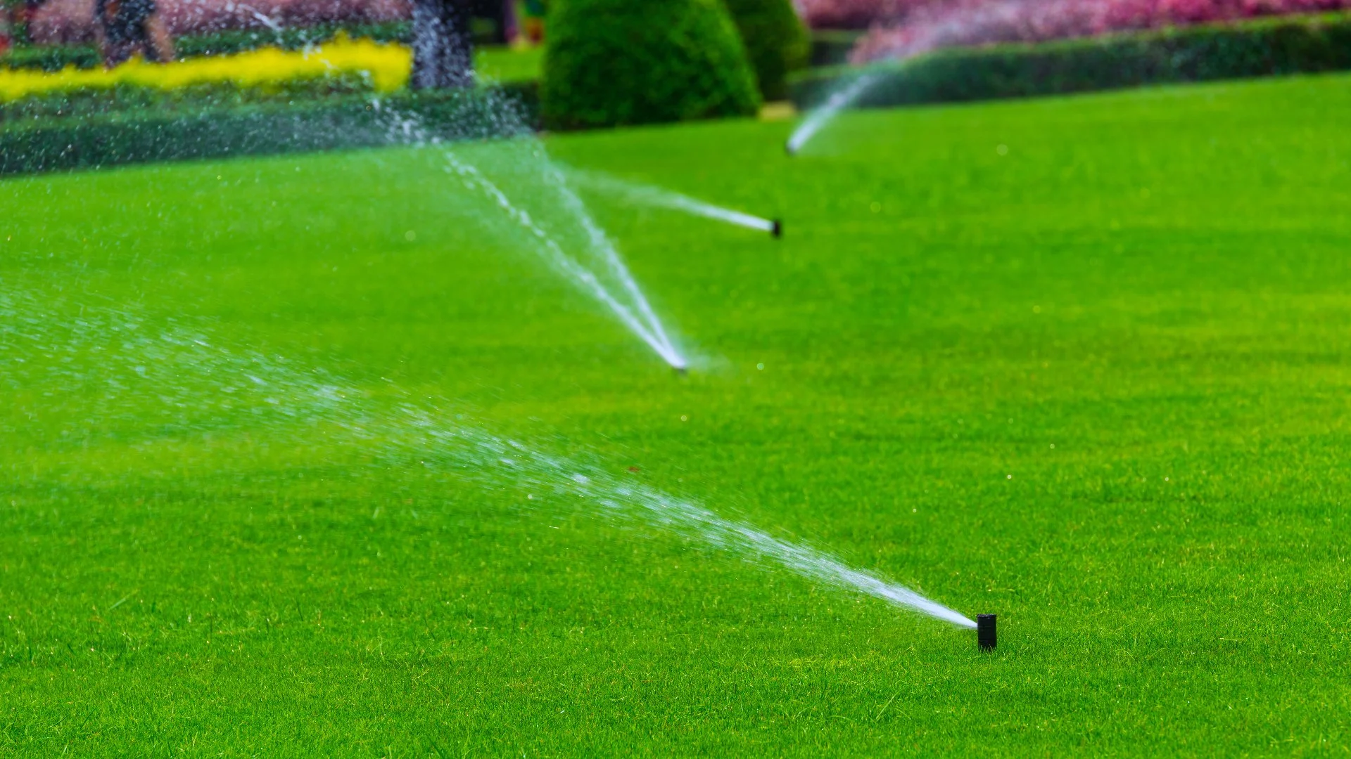 Trustworthy Irrigation Repairs and Programs in Matthews, NC surrounded by trees, lawn, shrubs, and flowers.