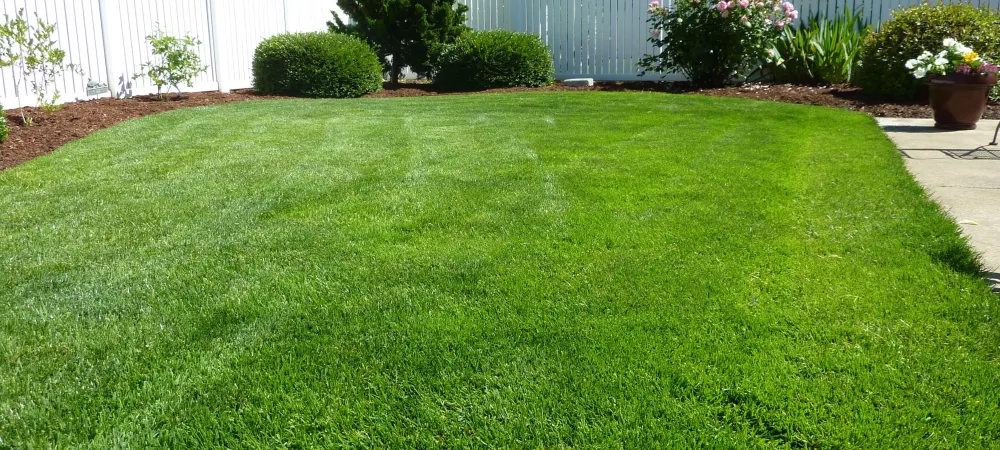 Why is Lawn Aeration Important?