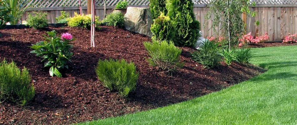 Landscape bed in Charlotte, NC, with mulch and green plants beside a lawn.