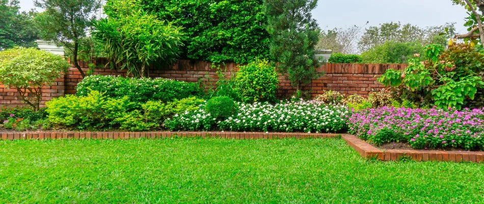 Landscaping in a backyard of a home in Weddington, NC.