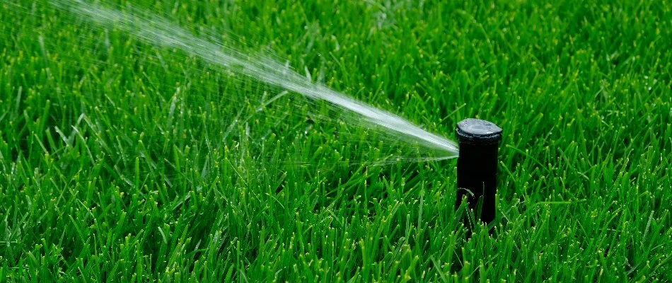 Black sprinkler head on a lawn in Concord, NC.