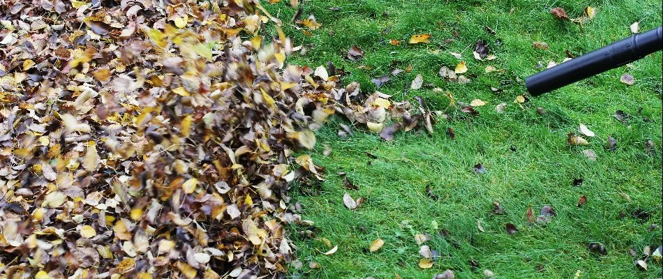 Blowing leaves off a green lawn in Charlotte, NC.