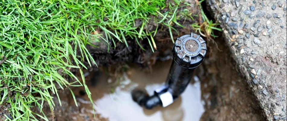 A broken sprinkler head with water pooling in Charlotte, NC.