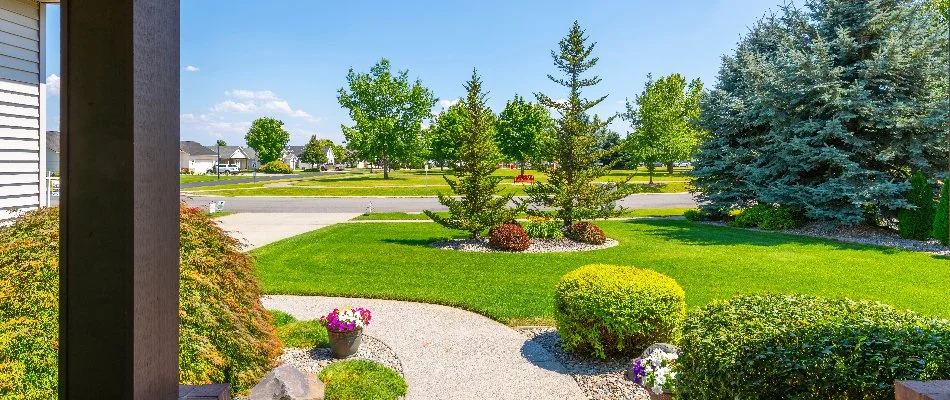 Beautiful front yard with mowed grass and pristine landscape beds in Charlotte, NC.