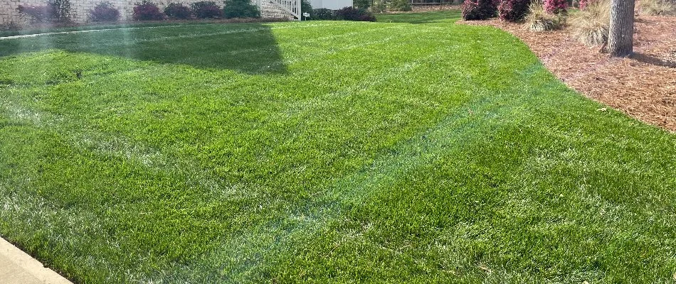 Front yard in Charlotte, NC, with a healthy lawn and landscape.