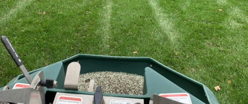 Granular fertilizer in spreader on lawn in Charlotte, NC.