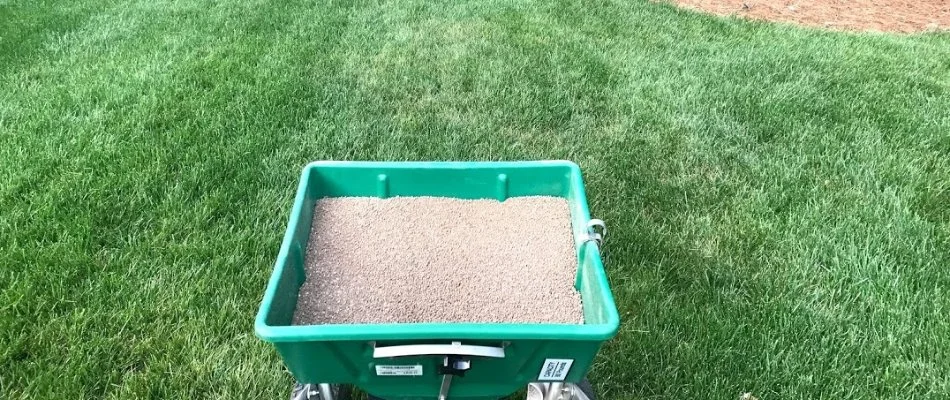 Green lawn in Mooresville, NC, with granular fertilizer spreader.