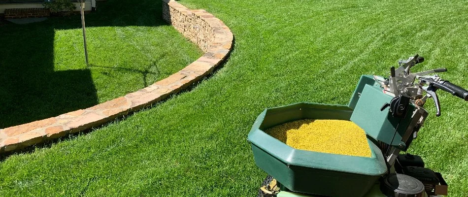 Granular fertilizer spreader on a green lawn in Concord, NC.