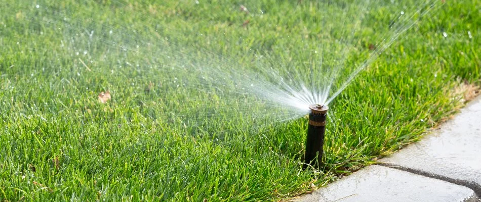 Grass in Monroe, NC, receiving water from an irrigation system sprinkler head.