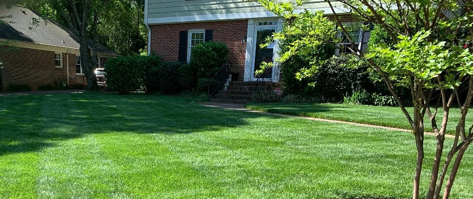 Healthy green grass on a residential property in Belmont, NC.