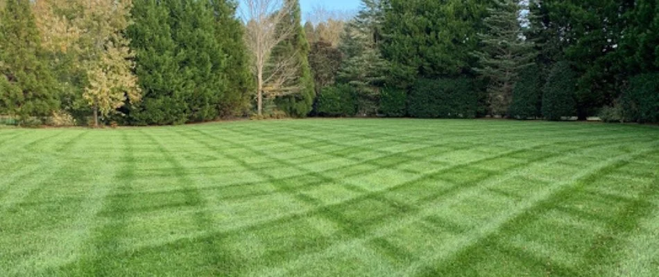 Healthy green grass in Waxhaw, NC, with mowing pattern.