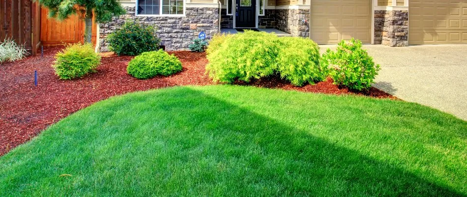 Healthy lawn in front yard of home in Mint Hill, NC.