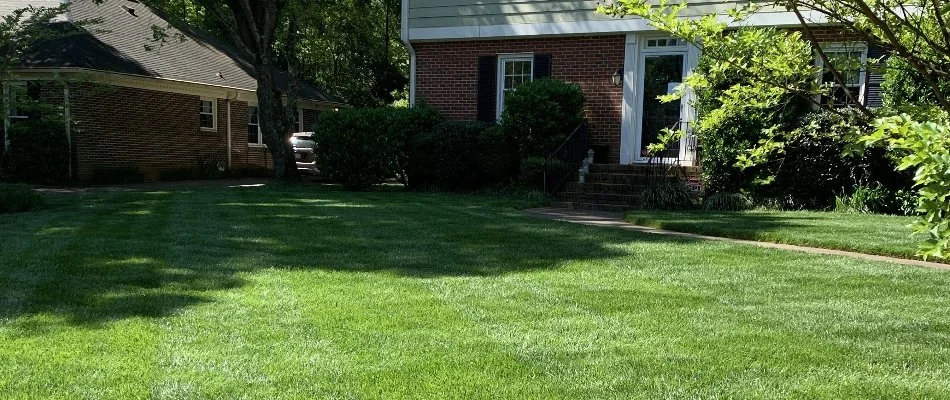 Healthy, green lawn on a residential property in Pineville, NC.