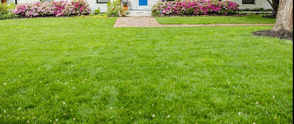 A healthy, green lawn in Charlotte, NC.