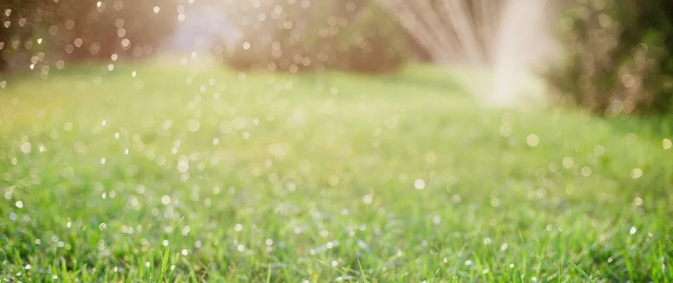 A healthy lawn in Charlotte, NC, being watered by a sprinkler irrigation system.