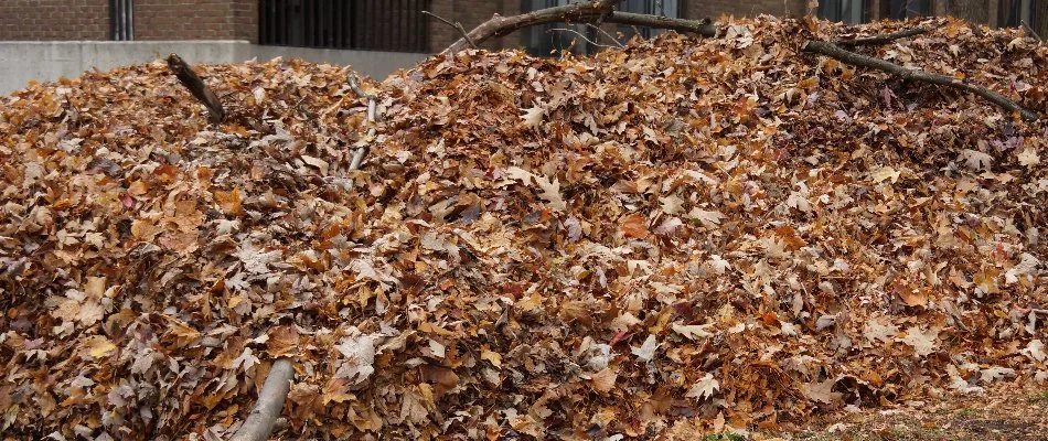 Huge pile of dry leaves in a curb in Charlotte, NC.