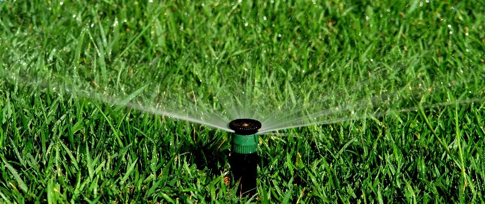 Irrigation sprinkler head in Rock Hill, SC, releasing water on a green lawn.