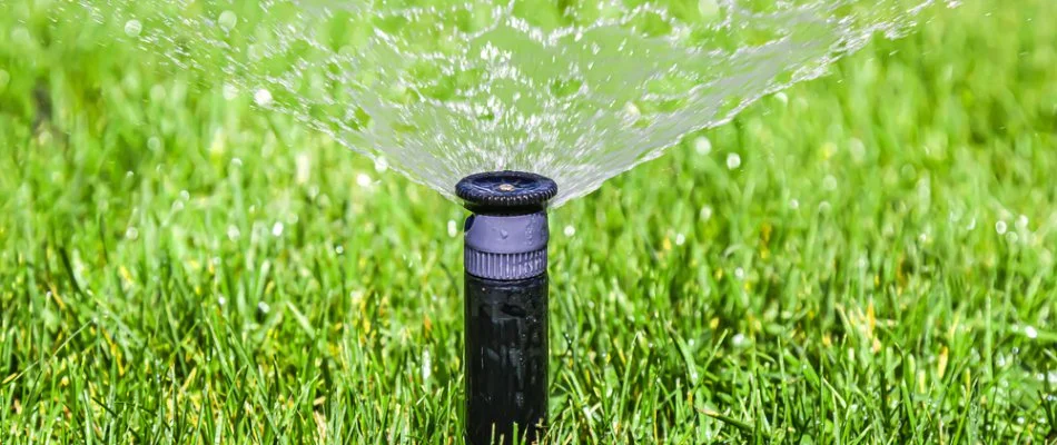 Irrigation sprinkler head spraying water on a lawn in Charlotte, NC.