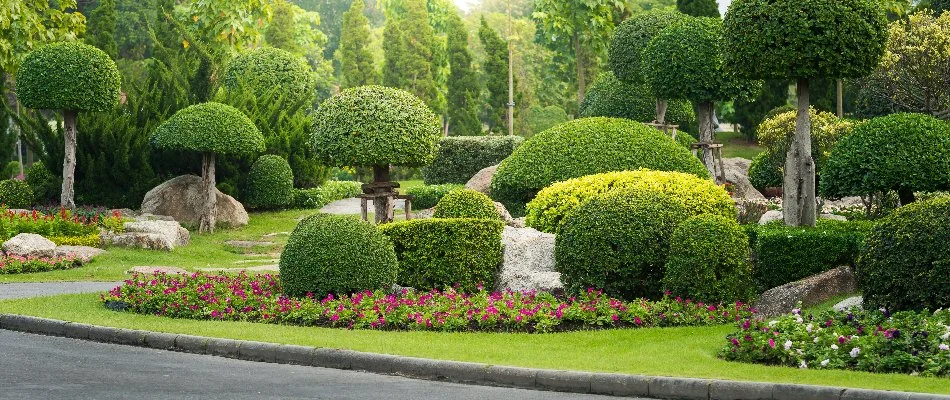 Landscape in Huntersville, NC, with neatly trimmed shrubs and colorful flowers.