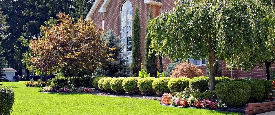 Pristine front yard with landscaping in Matthews, NC.