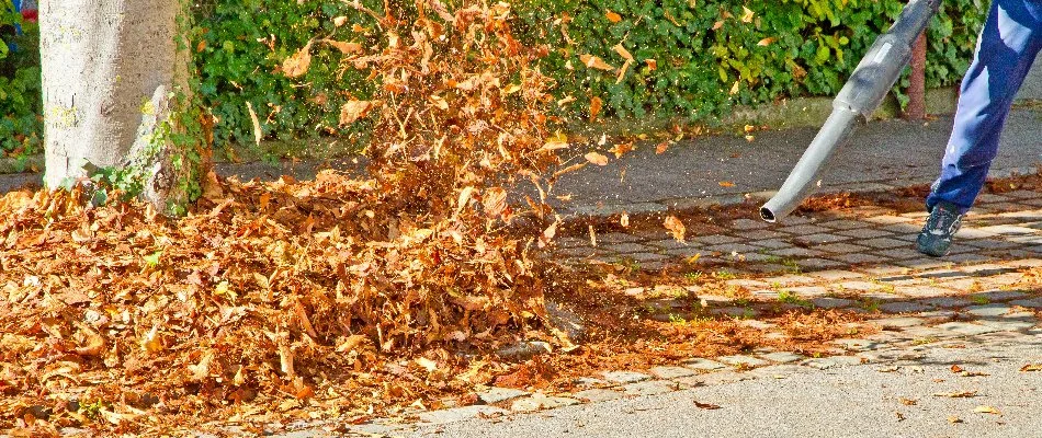 Leaves being blown off a sidewalk in Charlotte, NC.