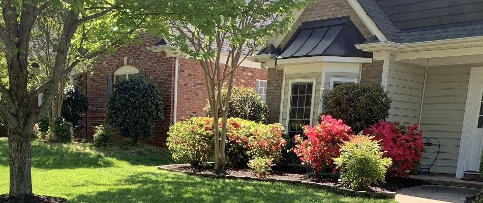 Lush, neat trees and shrubs on a front yard of a house in Pineville, NC.