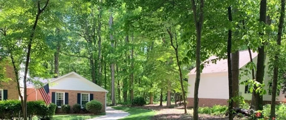 Lush trees around a residential property in Concord, NC.