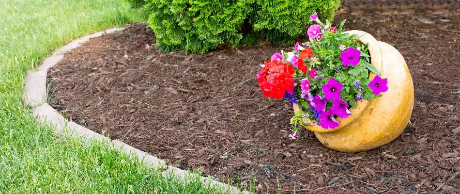 Pristine landscape bed in Charlotte, NC.