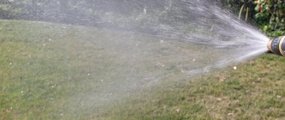 Spraying preventative lawn disease control treatment on a lawn in Charlotte, NC.