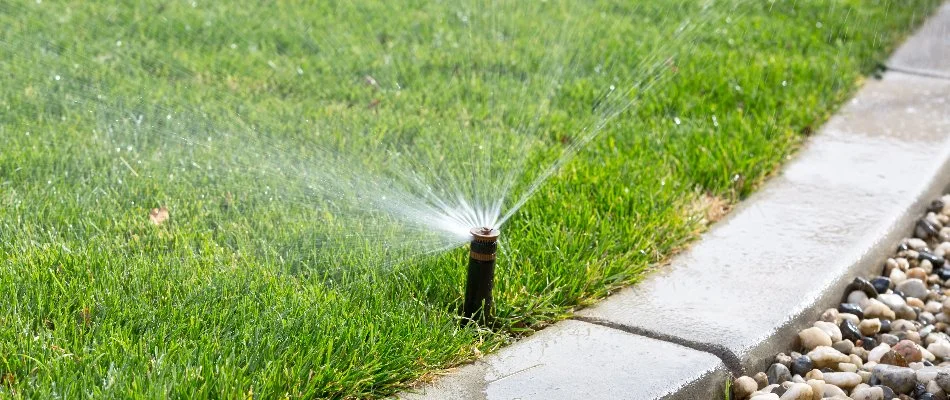 Sprinkler head on a lawn in Tega Cay, SC, near a landscape bed.