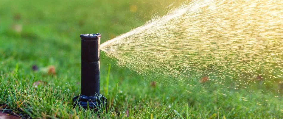 Irrigation sprinkler head running water in Weddington, NC.