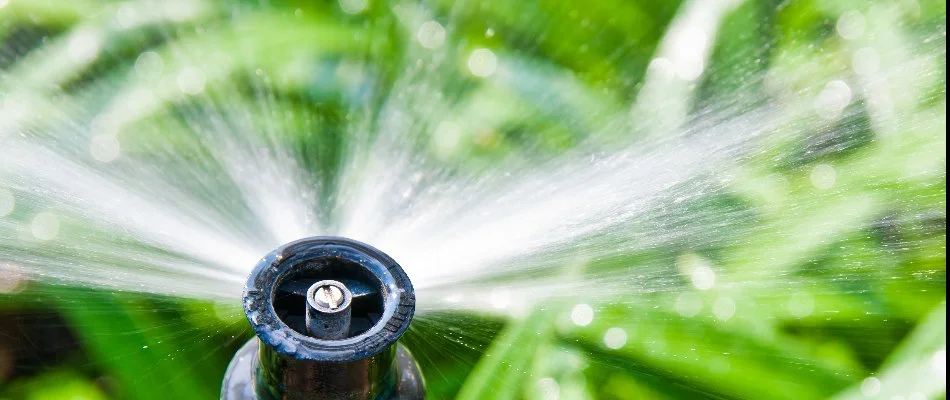 A close-up of a sprinkler head spraying water in Charlotte, NC.