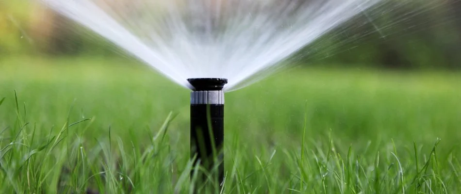 Sprinkler head spraying turf in Mint Hill, NC.