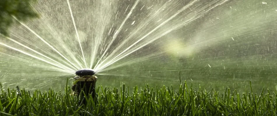 Sprinkler head watering a lawn in Indian Trail, NC.