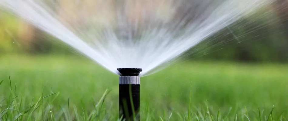 Sprinkler head watering lawn in Davidson, NC.