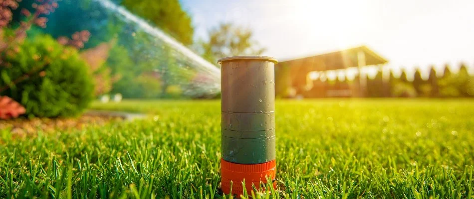 Sprinkler head spraying water on lawn in Charlotte, NC.