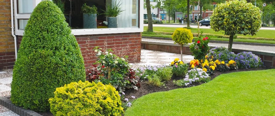 Trimmed plants and colorful flowers on a landscape in Fort Mill, SC, beside a green lawn.