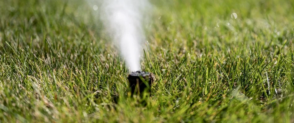 Water being blown out from an irrigation sprinkler head in Pineville, NC.