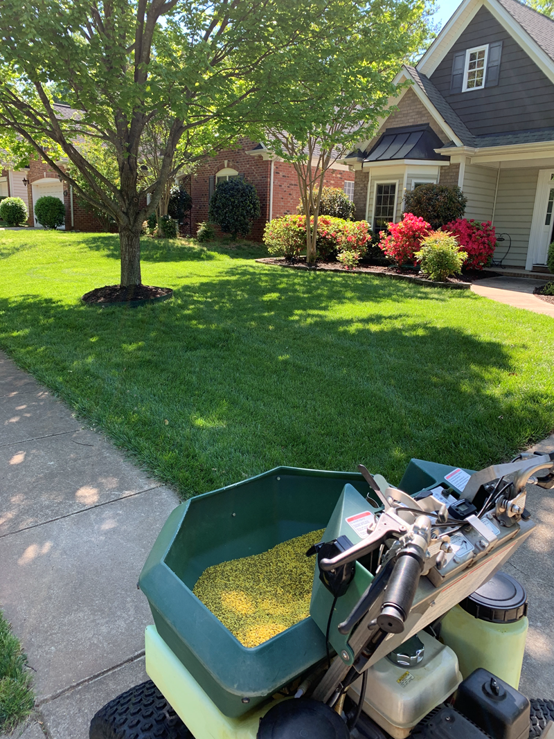 Lawn care equipment with fertilizer spreader in well-maintained yard featuring vibrant flowers and healthy grass, reflecting FineTurf's lawn renovation services for optimal growth in Charlotte's climate.