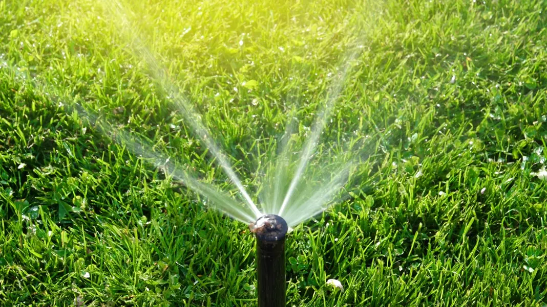 Lawn irrigation sprinkler watering a green lawn in Cornelius, NC