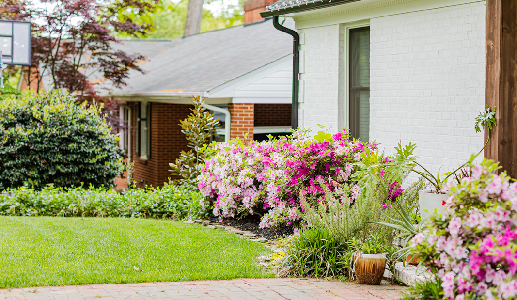 Vibrant flower beds with pink and white blooms in front of a well-maintained home, showcasing professional tree and shrub care in Charlotte, NC.
